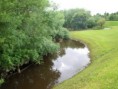 /album/my-local-birding-gallery/flooding-blocking-access-to-kerries-reserve-jpg/